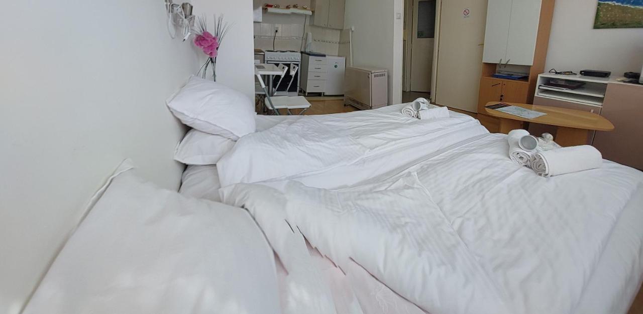 Apartment Daca Stan Belgrado Esterno foto