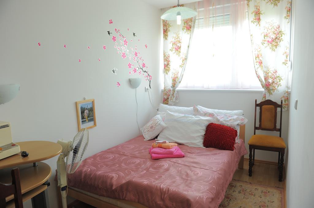 Apartment Daca Stan Belgrado Esterno foto