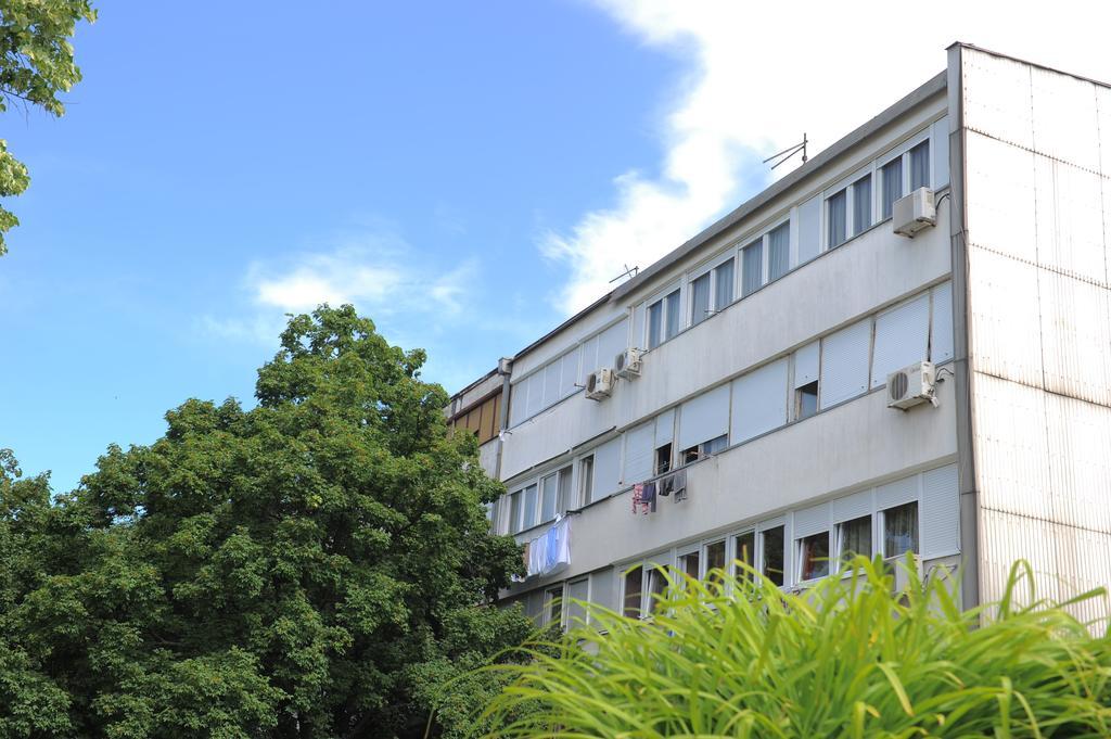 Apartment Daca Stan Belgrado Esterno foto