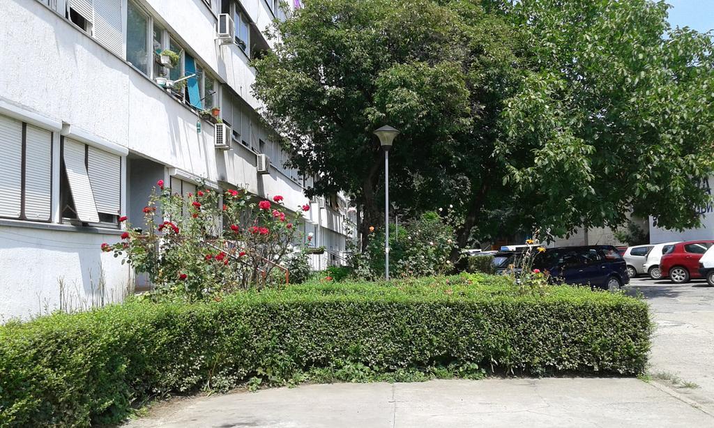 Apartment Daca Stan Belgrado Esterno foto