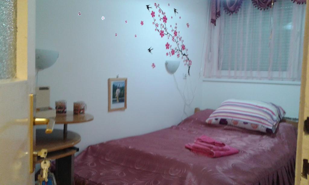 Apartment Daca Stan Belgrado Esterno foto