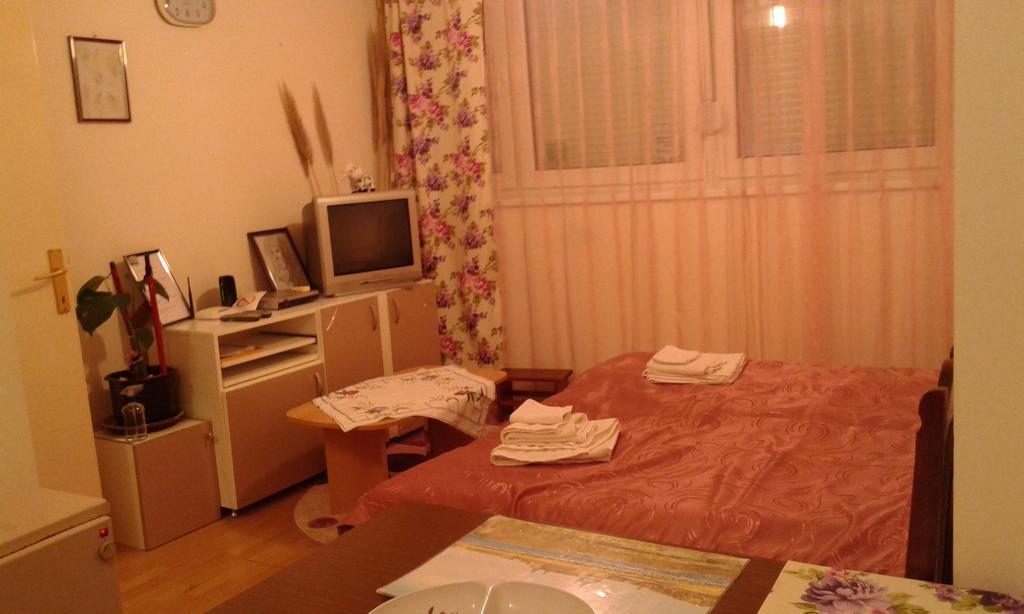 Apartment Daca Stan Belgrado Esterno foto